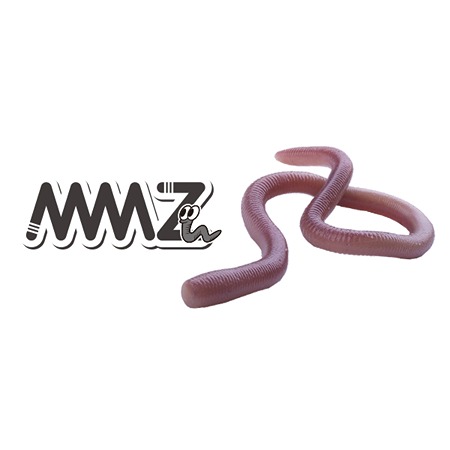 OSP MMZ Soft Lure - Southside Angling